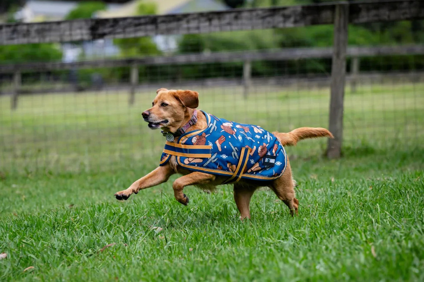 Dog Rugs – EQ Saddlery