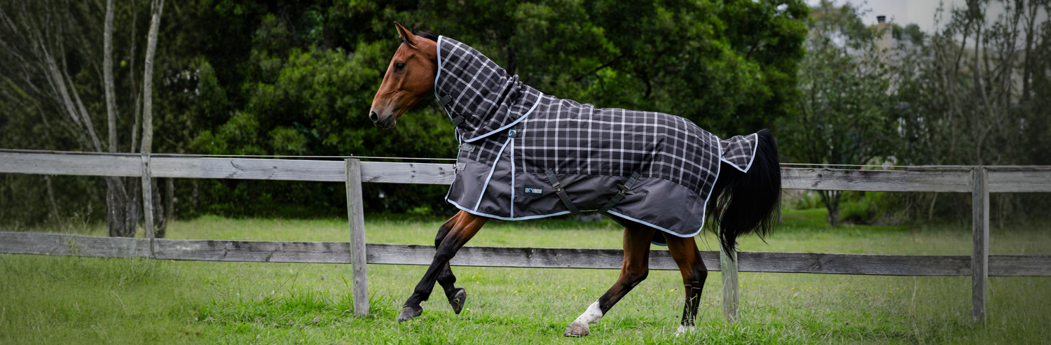 Turnout Rugs - EQ Saddlery
