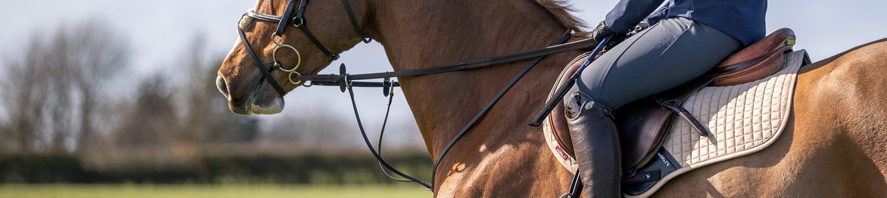 Breeches | Horse Riding Breeches for Women & Men | EQ Saddlery