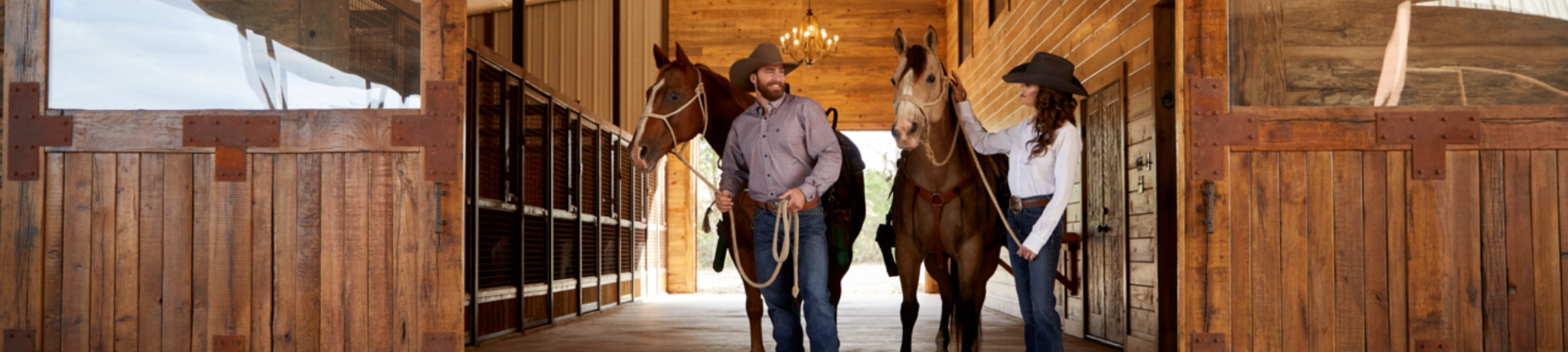 Country and Western T-Shirts | EQ Saddlery – Page 2
