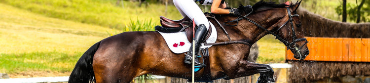 Zilco - EQ Saddlery