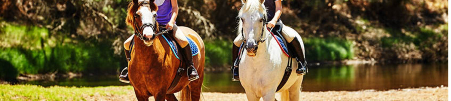Wintec - EQ Saddlery