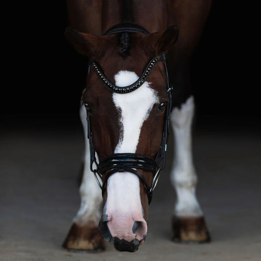 Lumiere Arcadia Hanovarian Leather Bridle - EQ Saddlery