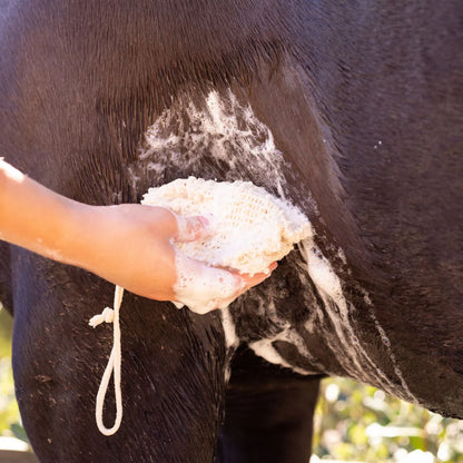 Hairy Pony EcoFriendly Shampoo Bar Kakadu Plum