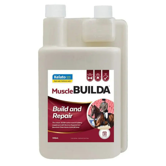Kelato Muscle Builda - EQ Saddlery