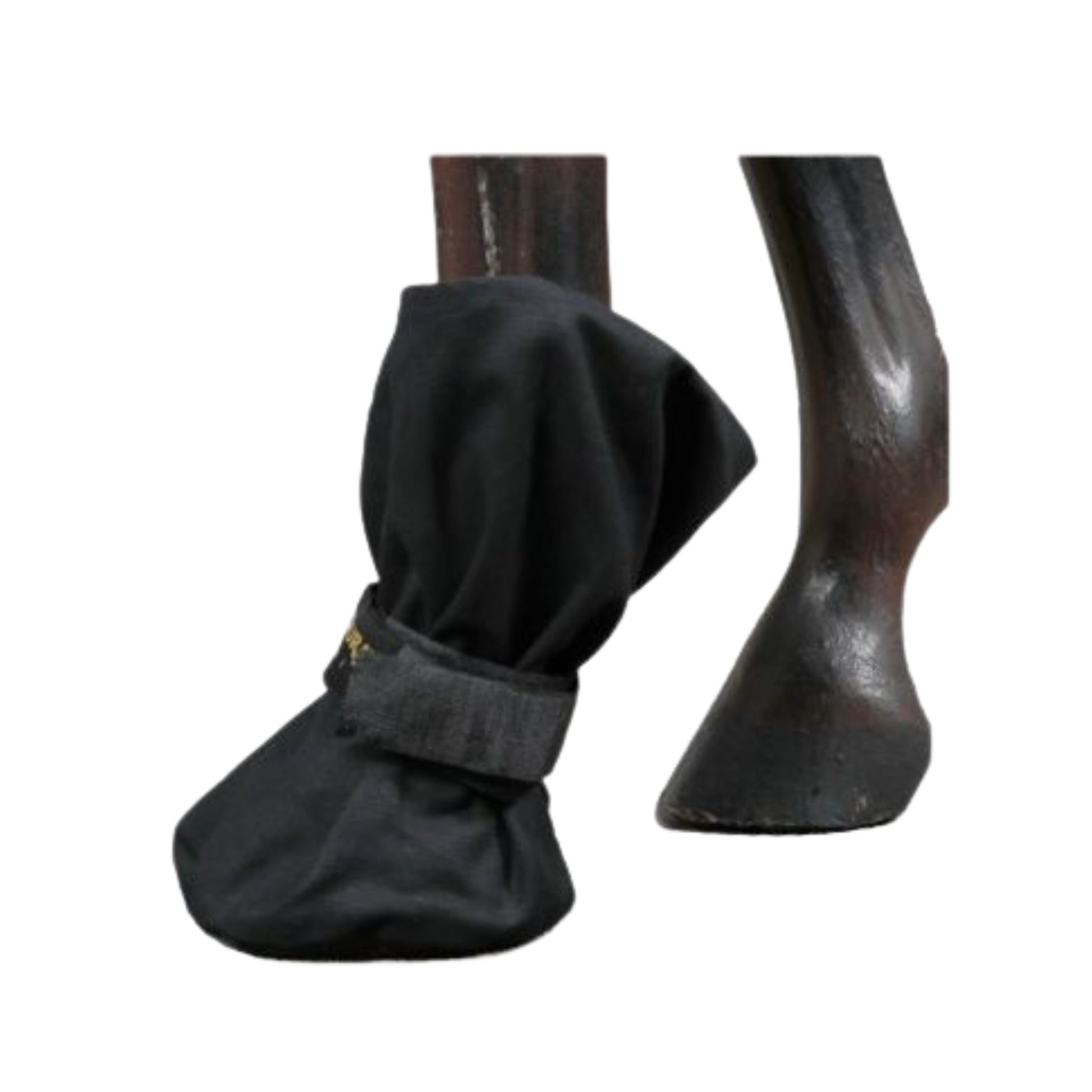Cordura Poultice Boot - EQ Saddlery