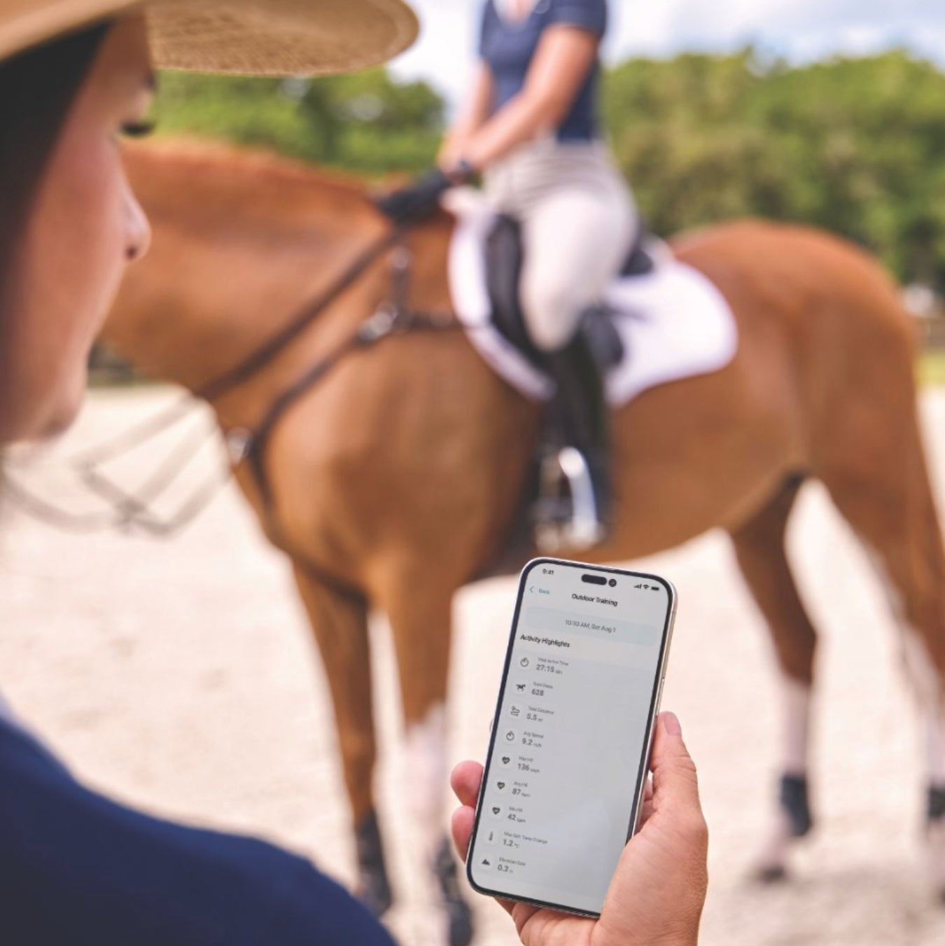 Garmin Blaze Equine Wellness System