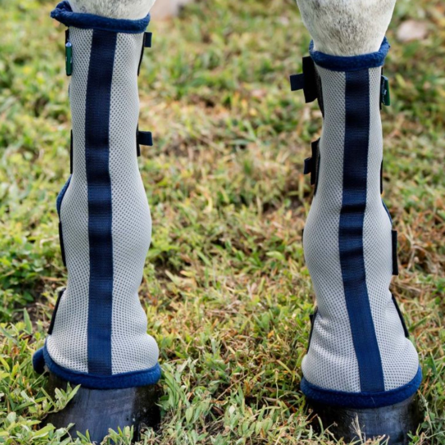 Horseware Fly Boots set of 2