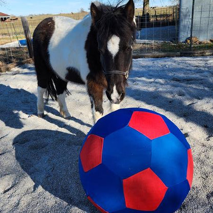 Jolly Mega Horse Ball and Cover Set