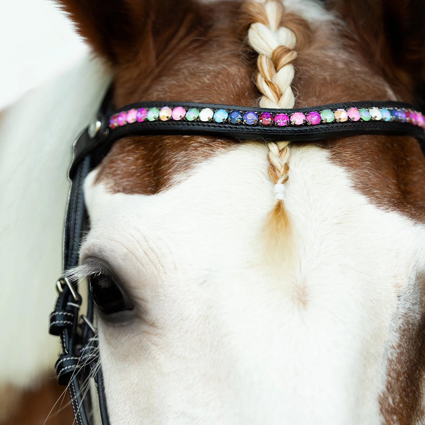 Lumi Pony Rainbow Bridle - EQ Saddlery