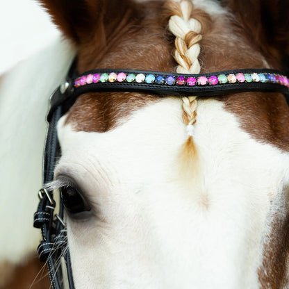 Lumi Pony Rainbow Bridle - EQ Saddlery