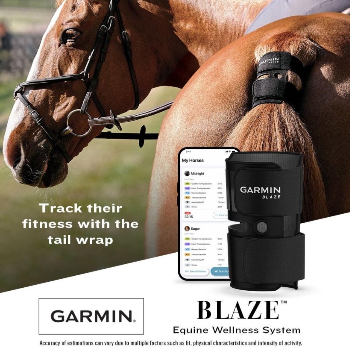 Garmin Blaze Equine Wellness System