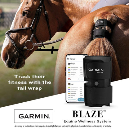 Garmin Blaze Equine Wellness System