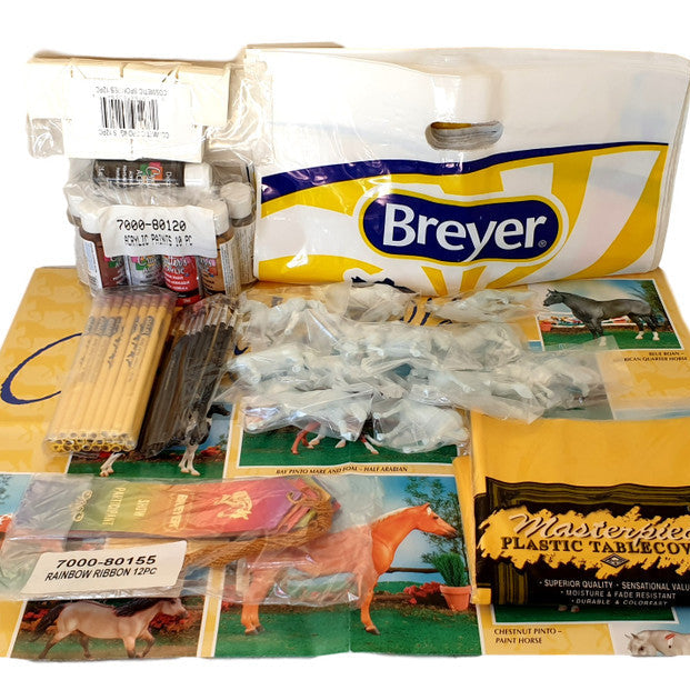 Breyer Fun Day in a Box Full Kit 12 piece