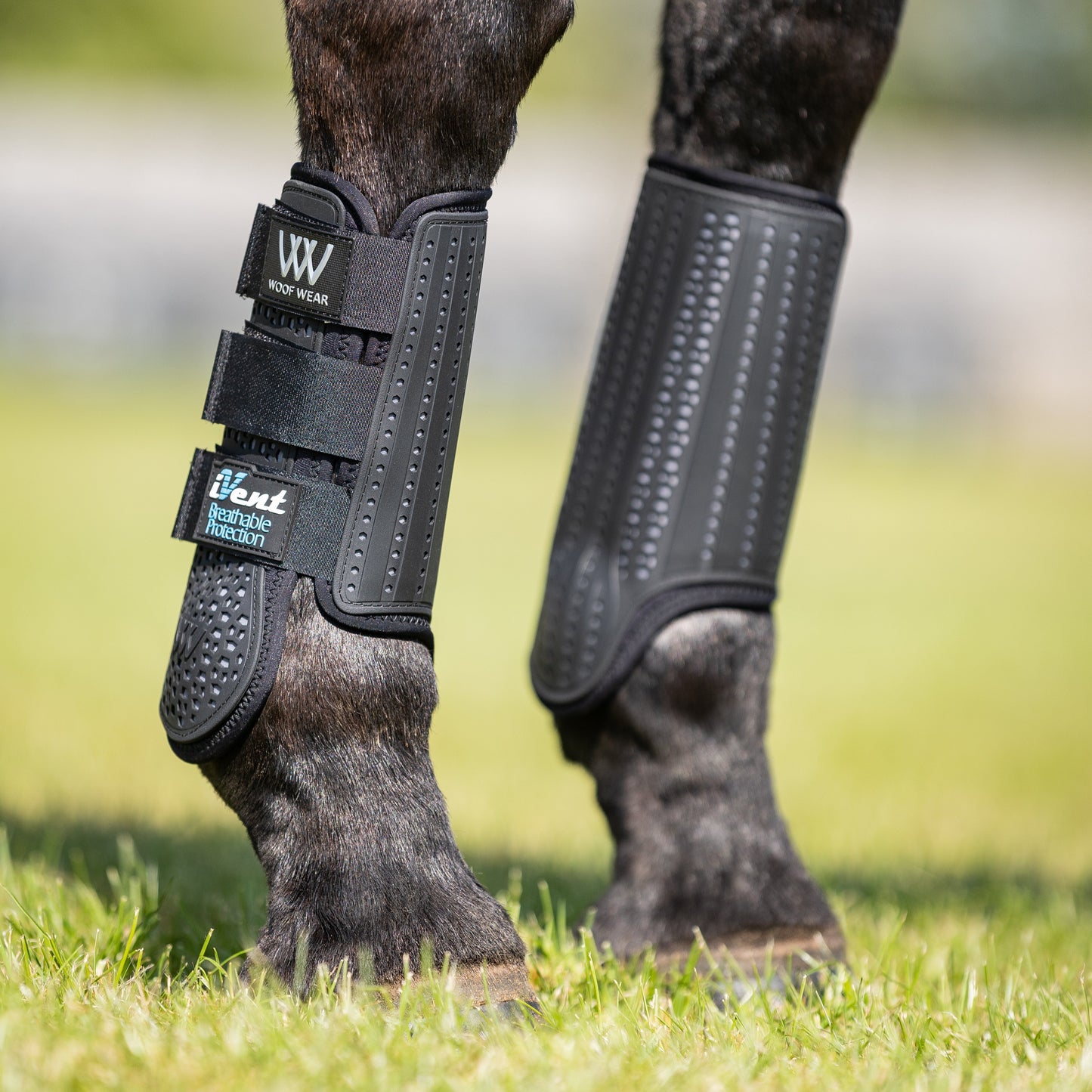 Woof Wear iVent Event Front Boots