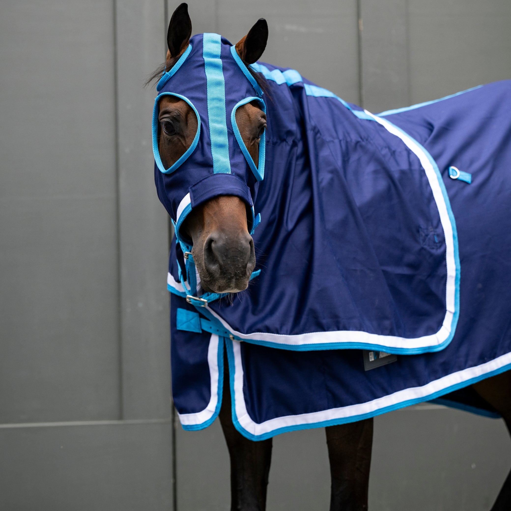 EQ Armour Pony Show Set EQ Saddlery