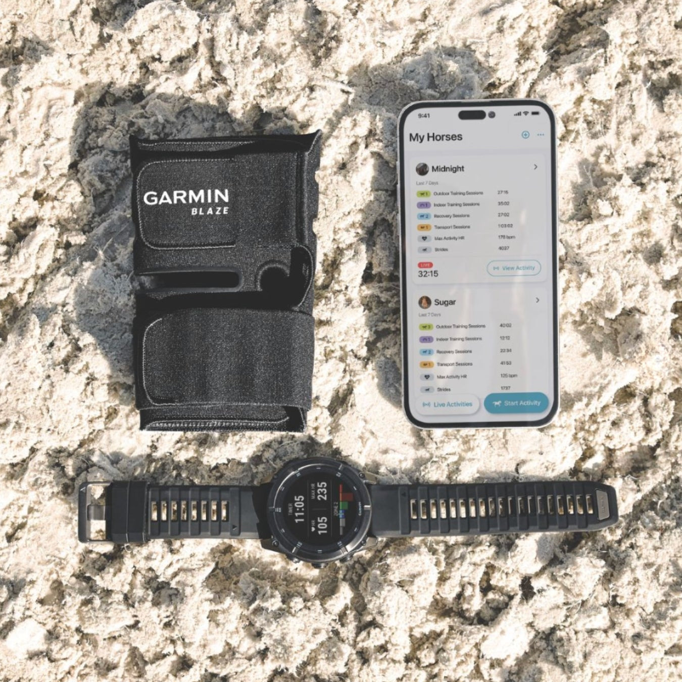 Garmin Blaze Equine Wellness System