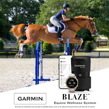 Garmin Blaze Equine Wellness System