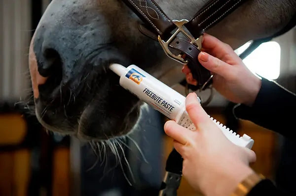 Cavalor Freebute Paste Syringe - EQ Saddlery
