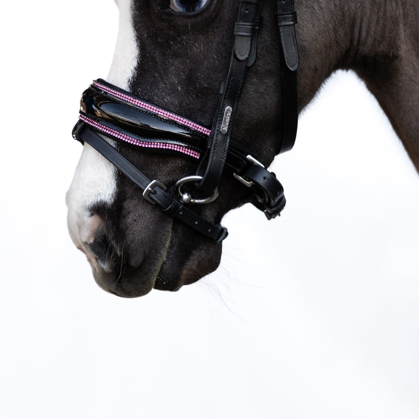 Lumi Pony Fairyfloss Bridle - EQ Saddlery