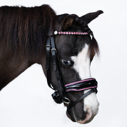 Lumi Pony Fairyfloss Bridle - EQ Saddlery