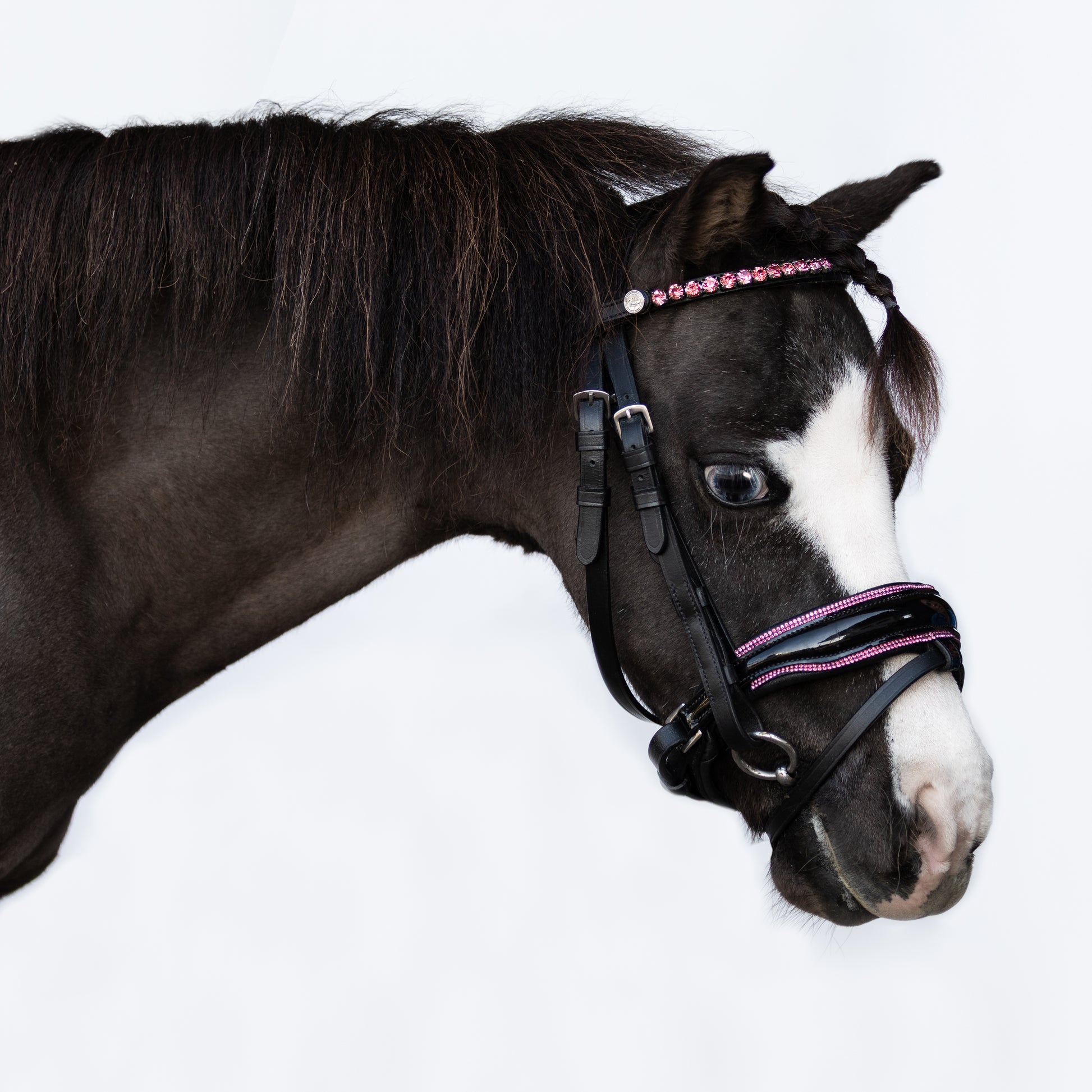 Lumi Pony Fairyfloss Bridle - EQ Saddlery