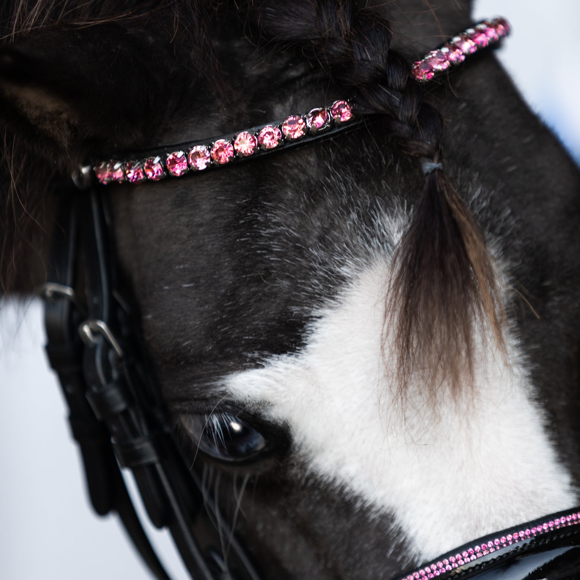Lumi Pony Fairyfloss Bridle - EQ Saddlery