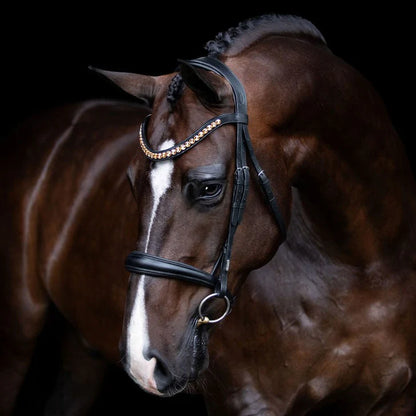 Lumiere Athens Cavesson Leather Bridle - EQ Saddlery