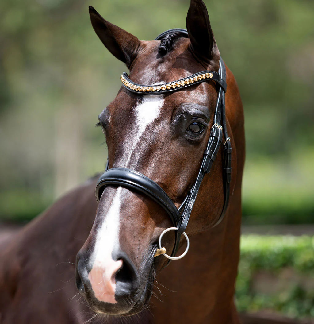Lumiere Athens Cavesson Leather Bridle - EQ Saddlery