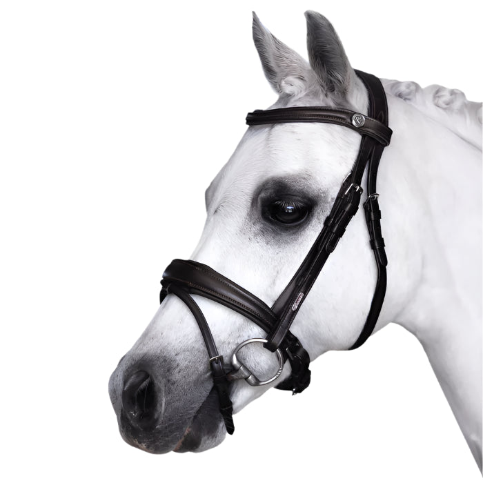 Lumi Pony Mikayla Convertible Bridle - EQ Saddlery
