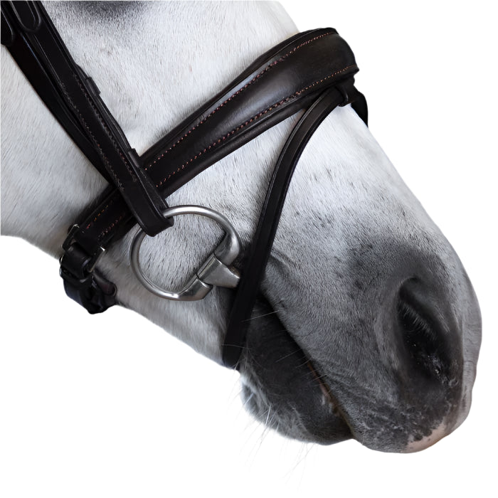 Lumi Pony Mikayla Convertible Bridle - EQ Saddlery