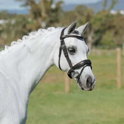 Lumi Pony Mikayla Convertible Bridle - EQ Saddlery