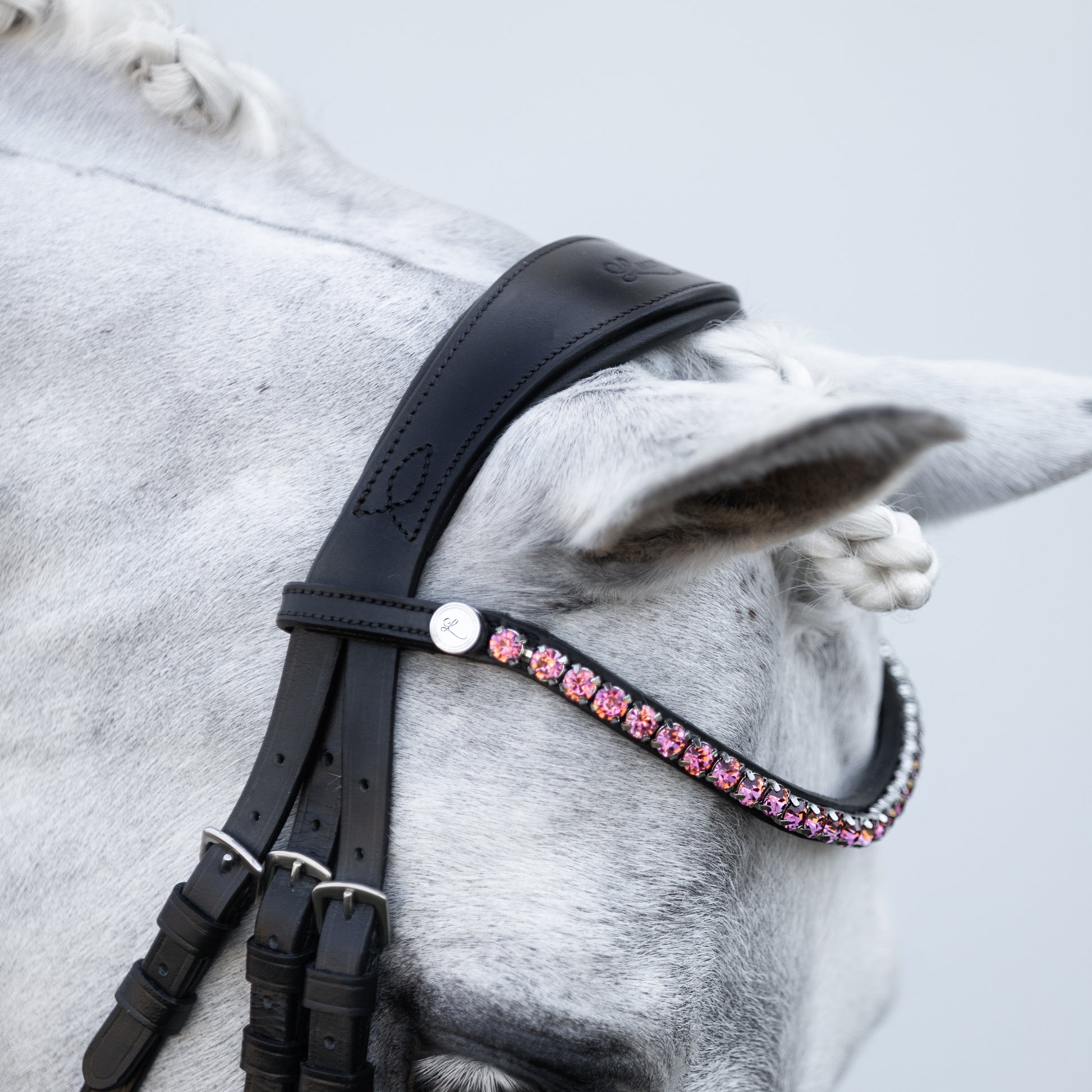Lumi Pony Fairyfloss Bridle - EQ Saddlery