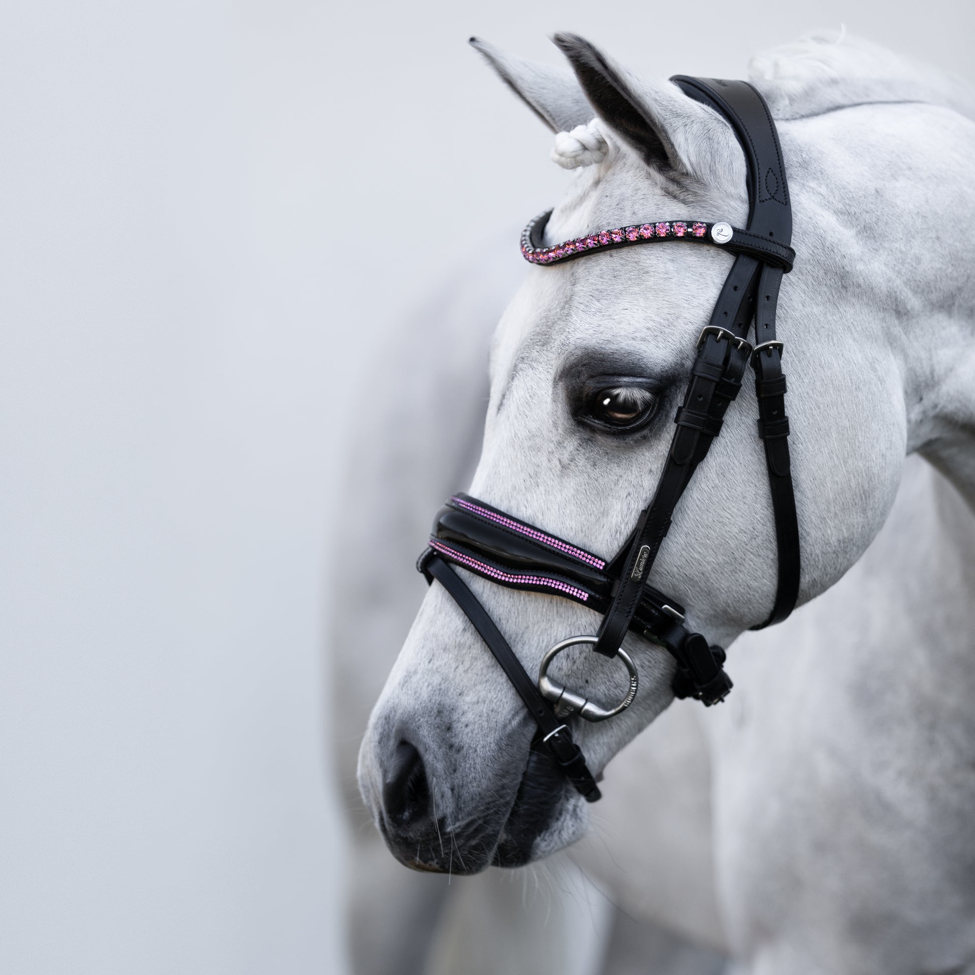 Lumi Pony Fairyfloss Bridle - EQ Saddlery