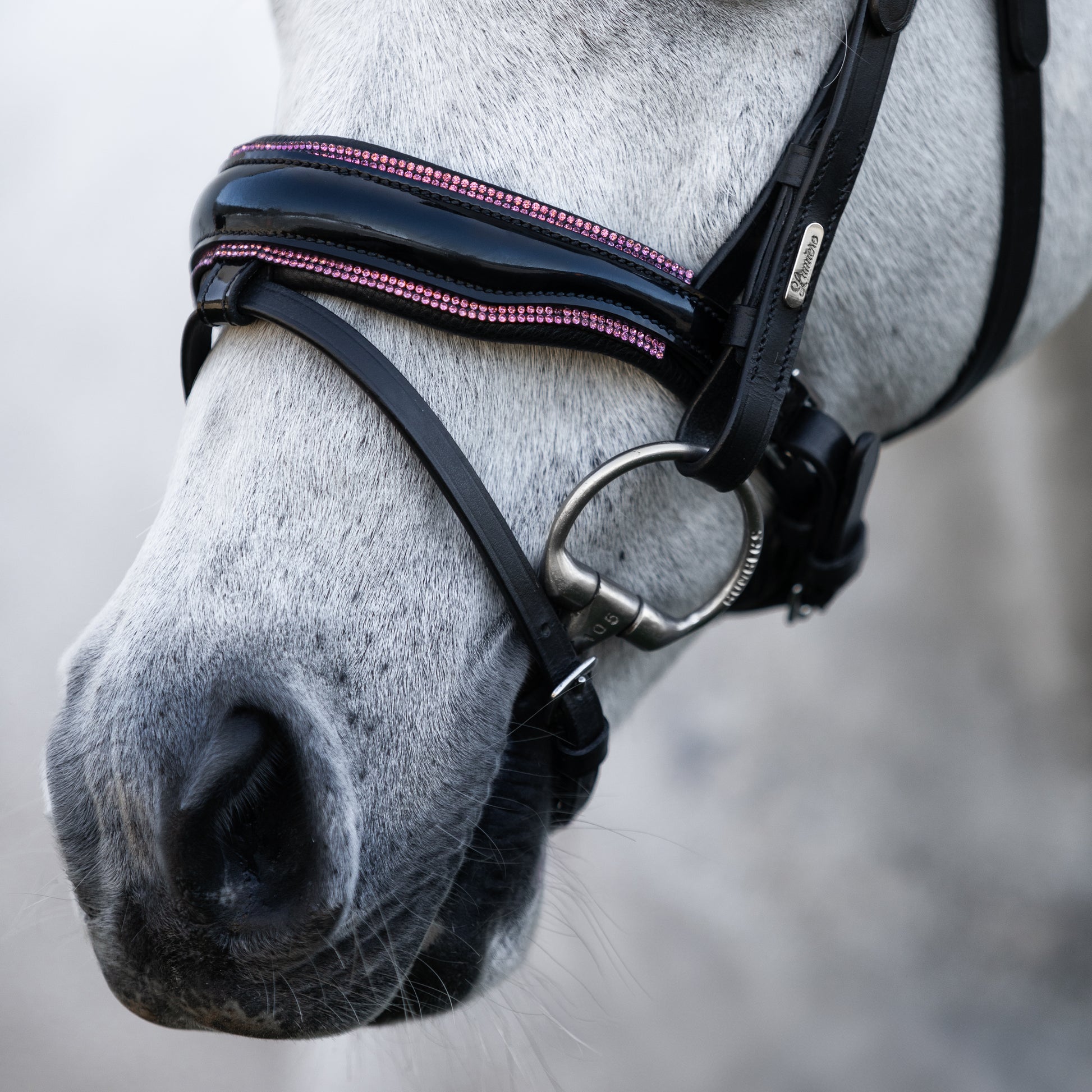 Lumi Pony Fairyfloss Bridle - EQ Saddlery