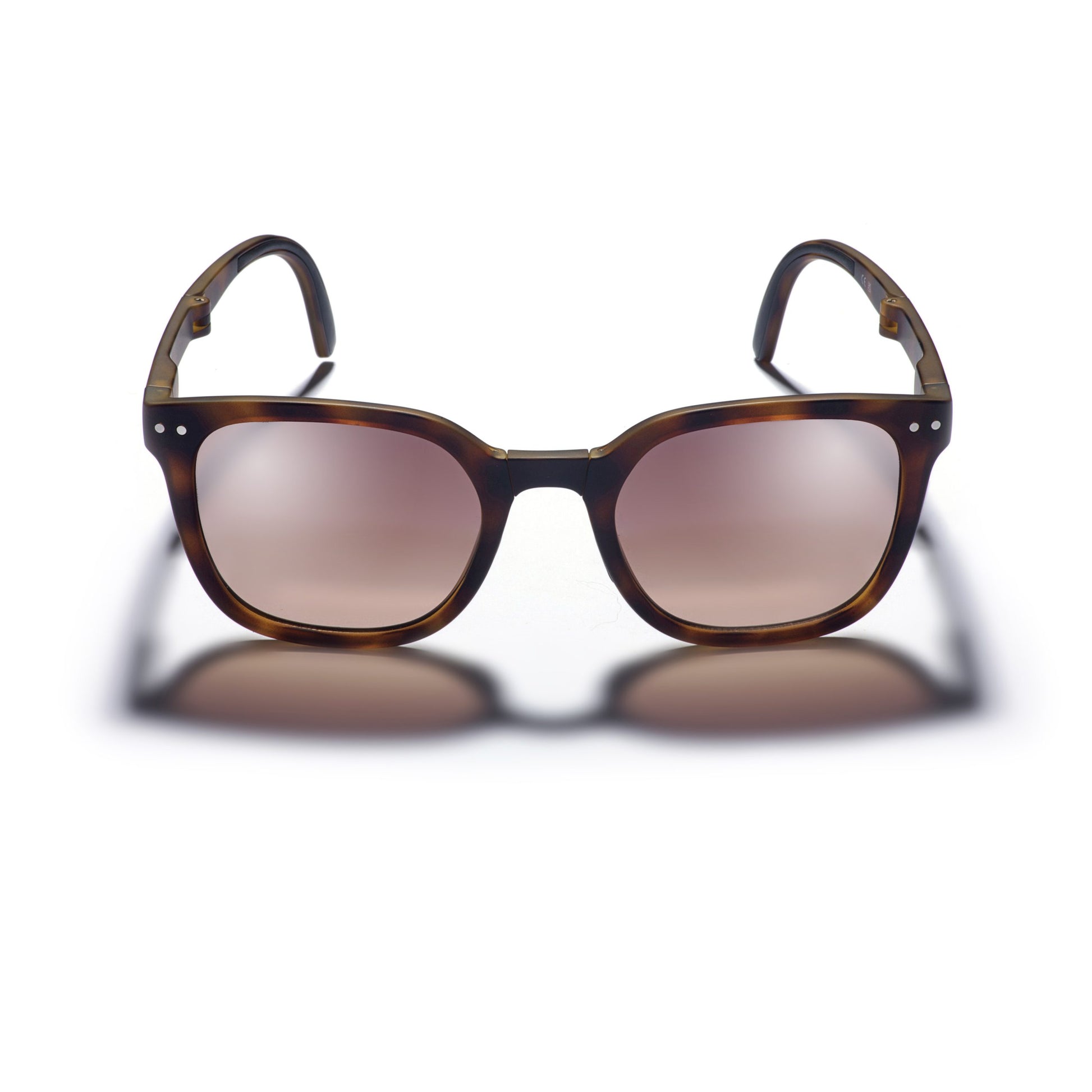 Gidgee Sunglasses Canter - EQ Saddlery