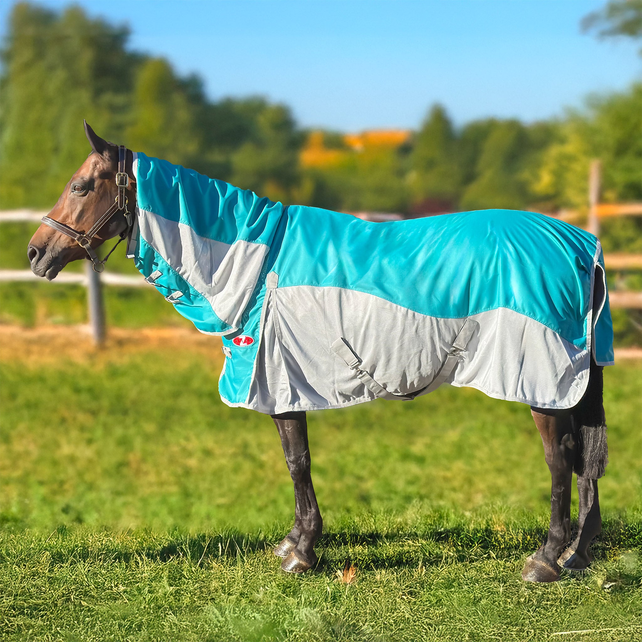 Zilco Guardian Hybrid Combo Rug – EQ Saddlery