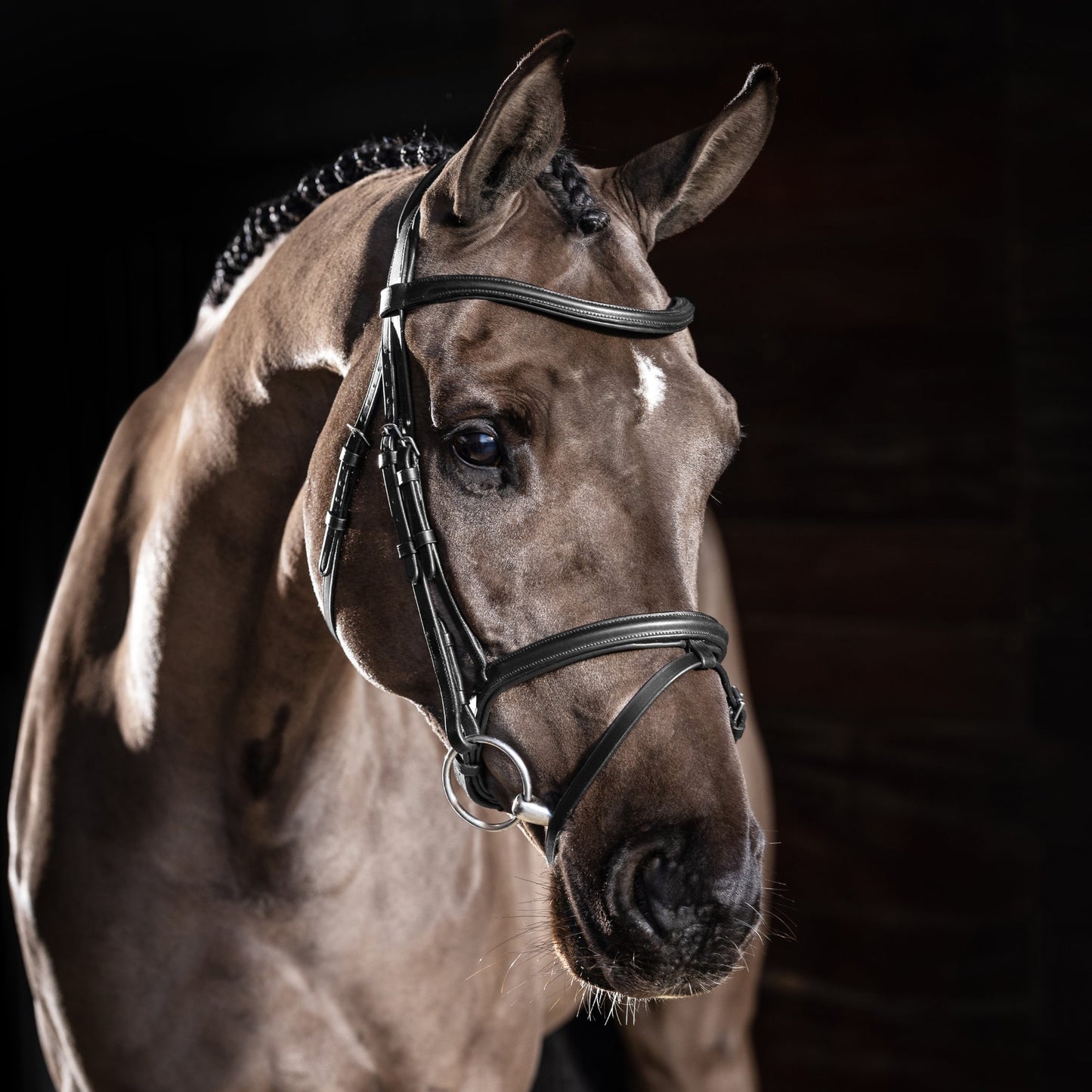 LeMieux Arika Flash Bridle