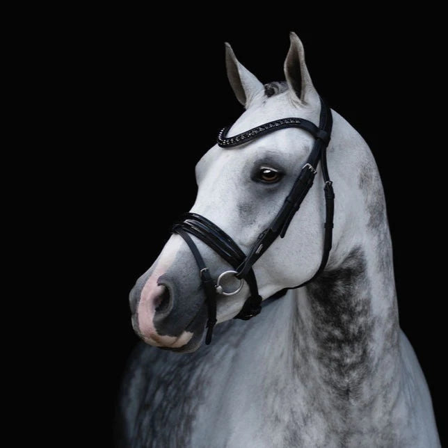 Lumiere Arcadia Hanovarian Leather Bridle - EQ Saddlery