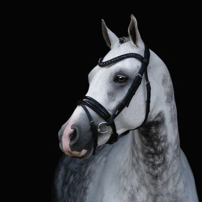 Lumiere Arcadia Hanovarian Leather Bridle - EQ Saddlery