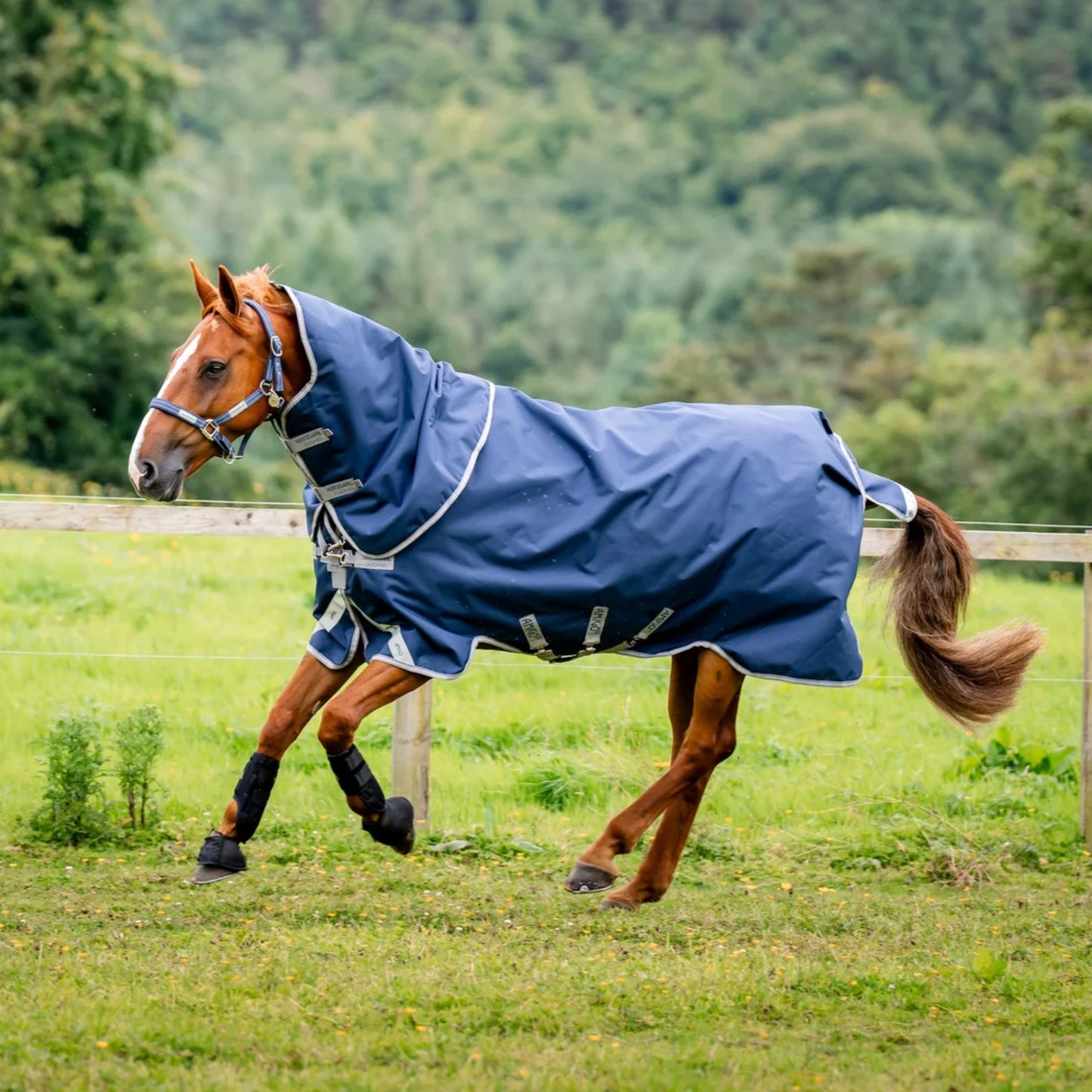Horseware Amigo 1200D Plus Turnout 50g Rug