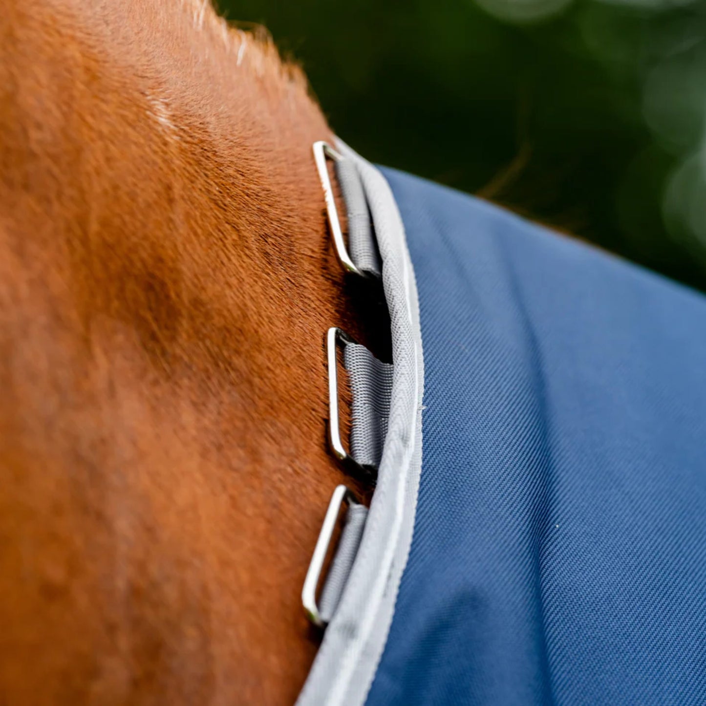 Horseware Amigo 1200D Plus Turnout 50g Rug
