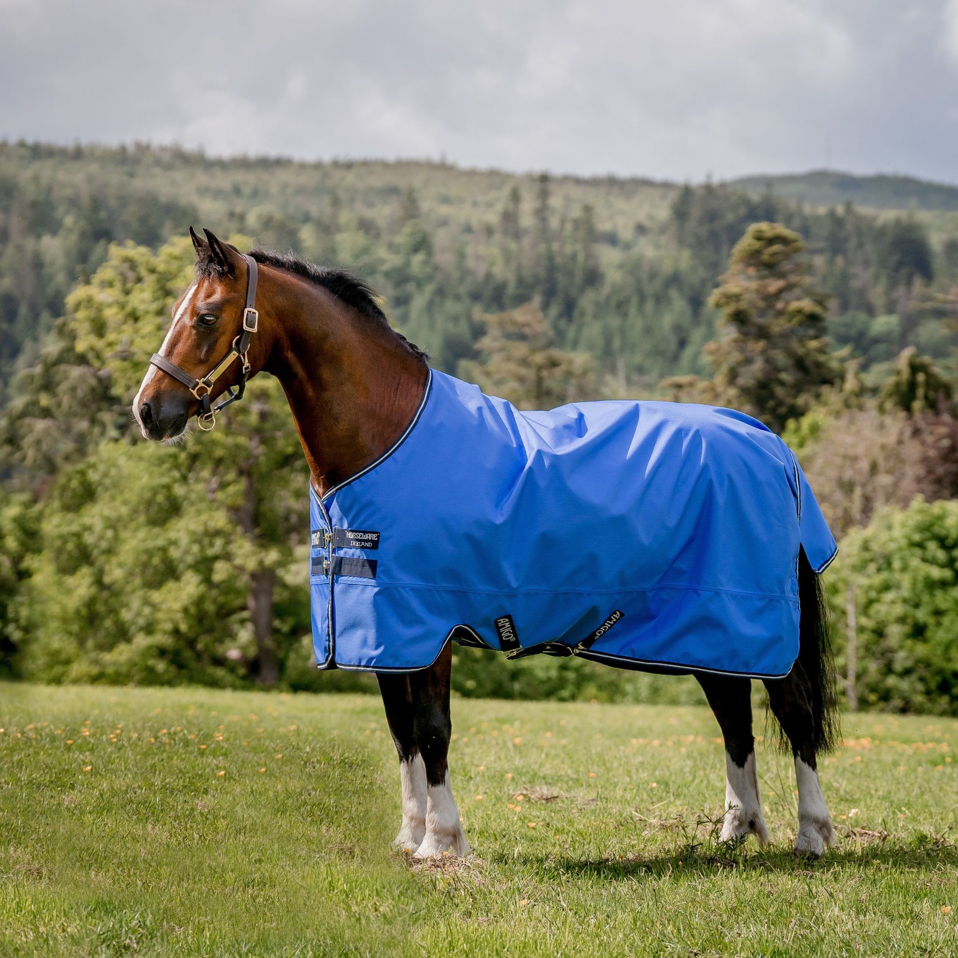 Horseware Amigo Hero Ripstop Lite 0g Rug - EQ Saddlery