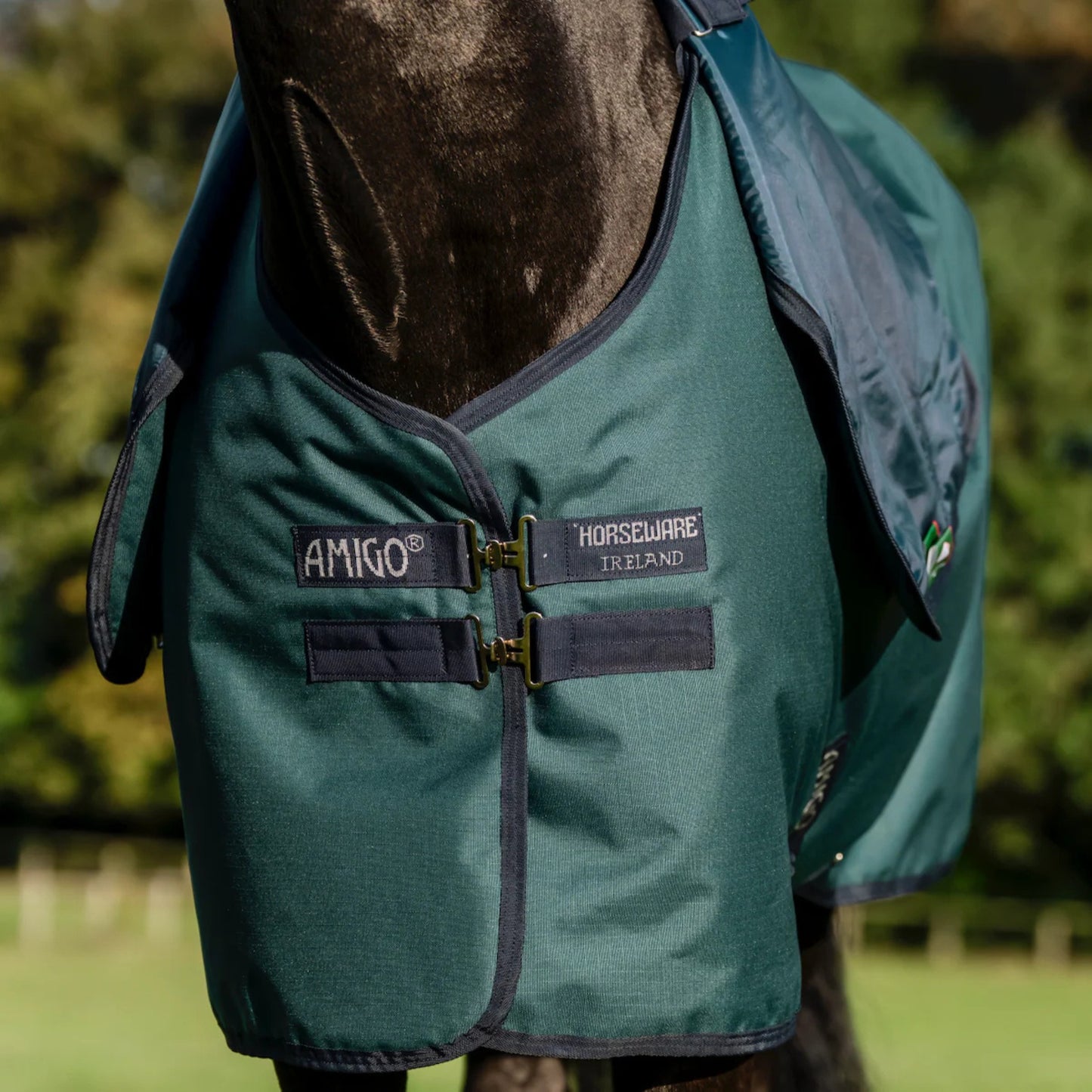 Horseware Amigo Ripstop 900D Plus Turnout 100g Rug