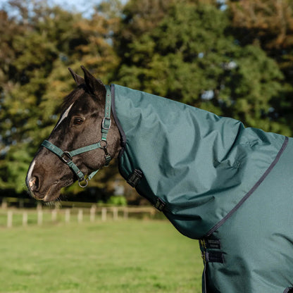 Horseware Amigo Ripstop 900D Plus Turnout 100g Rug