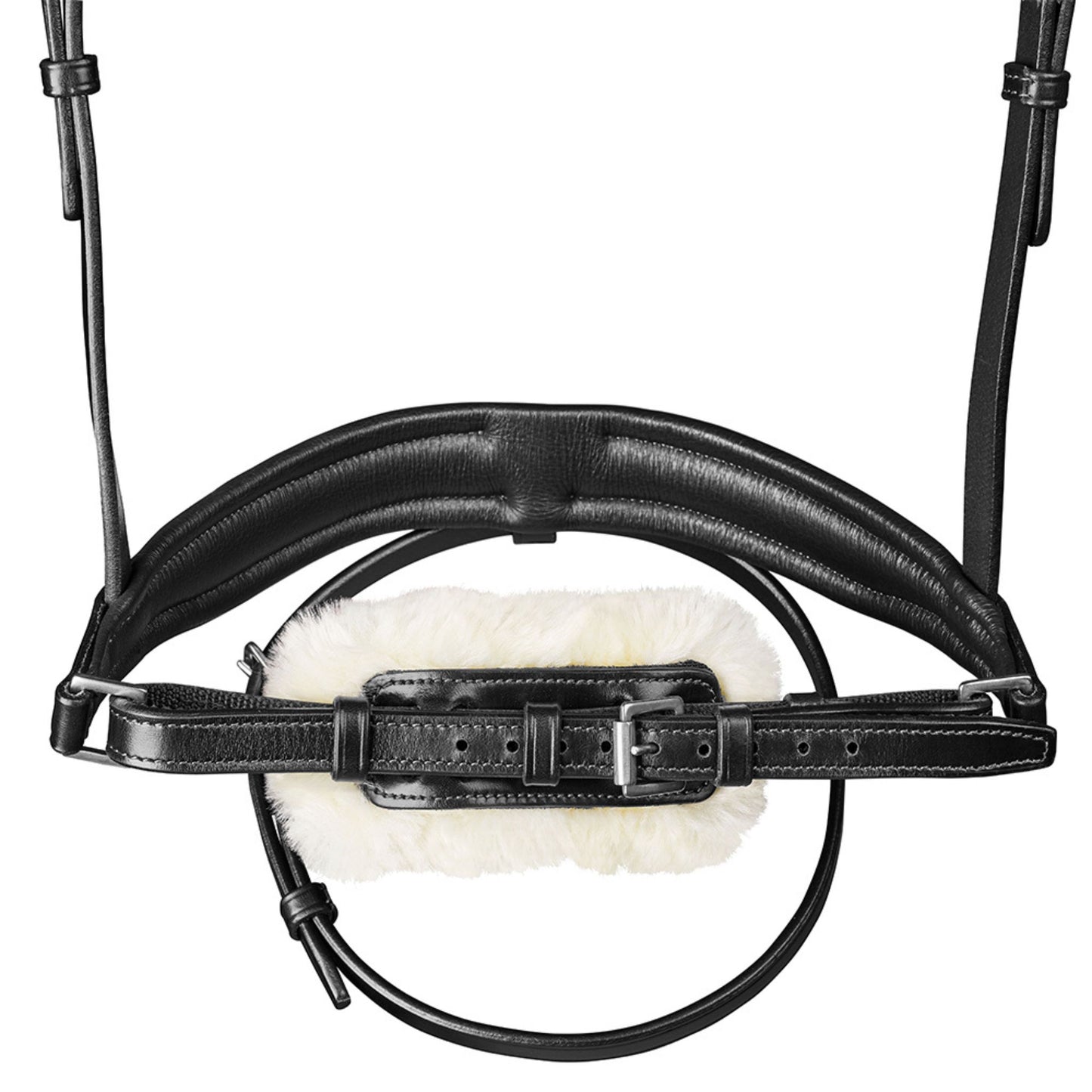 Arena Dressage Bridle