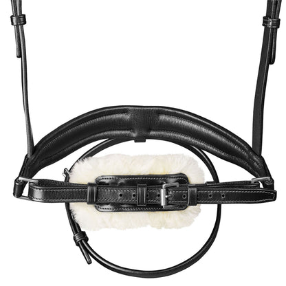 Arena Dressage Bridle
