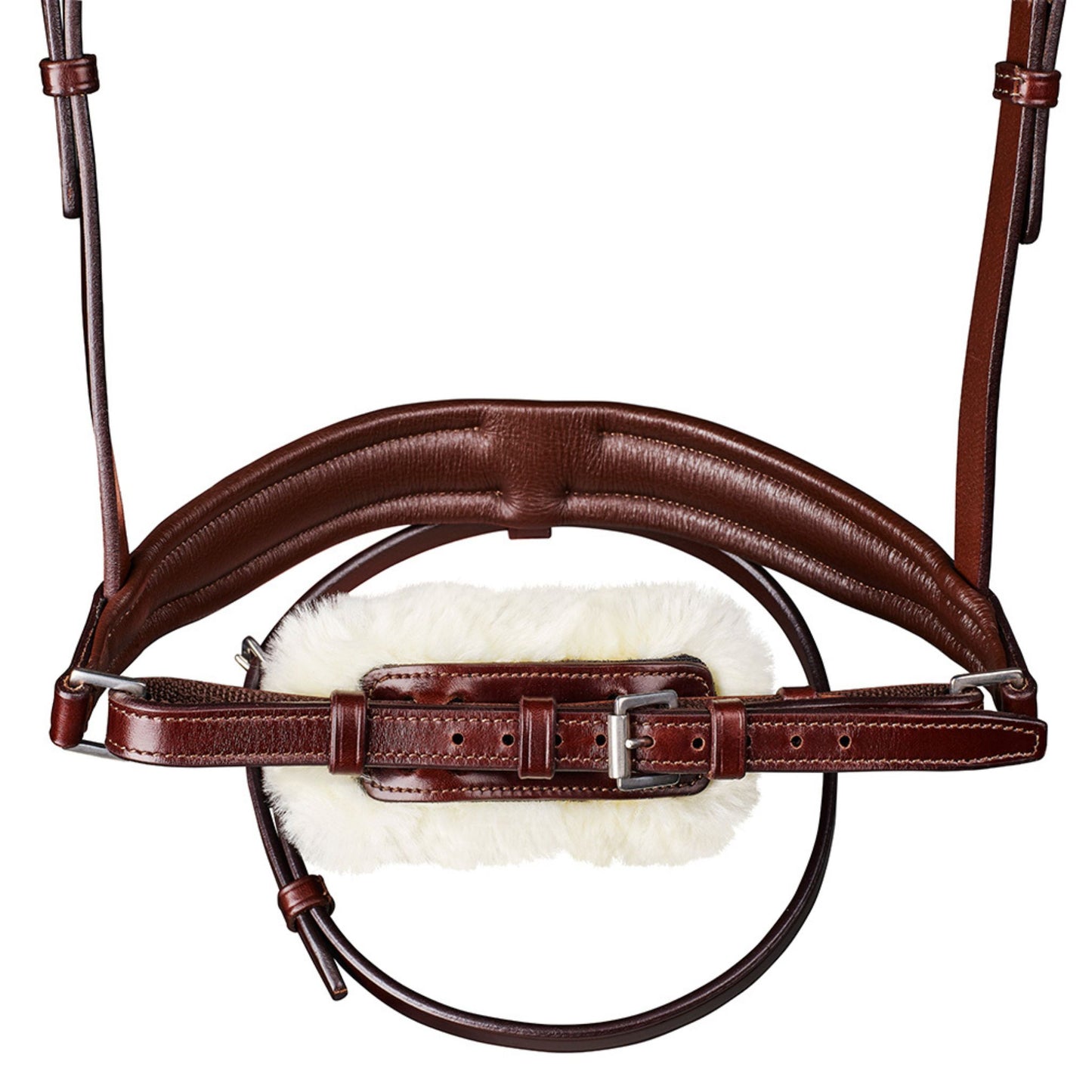 Arena Dressage Bridle