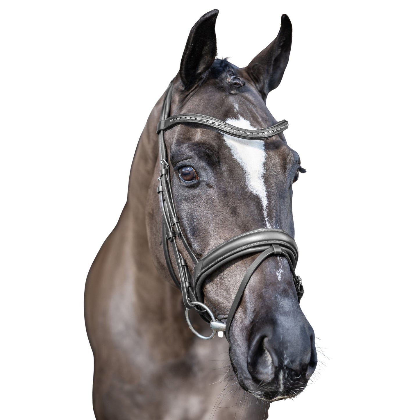 Lemieux Arika Dressage Bridle