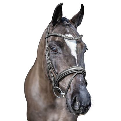 Lemieux Arika Dressage Bridle